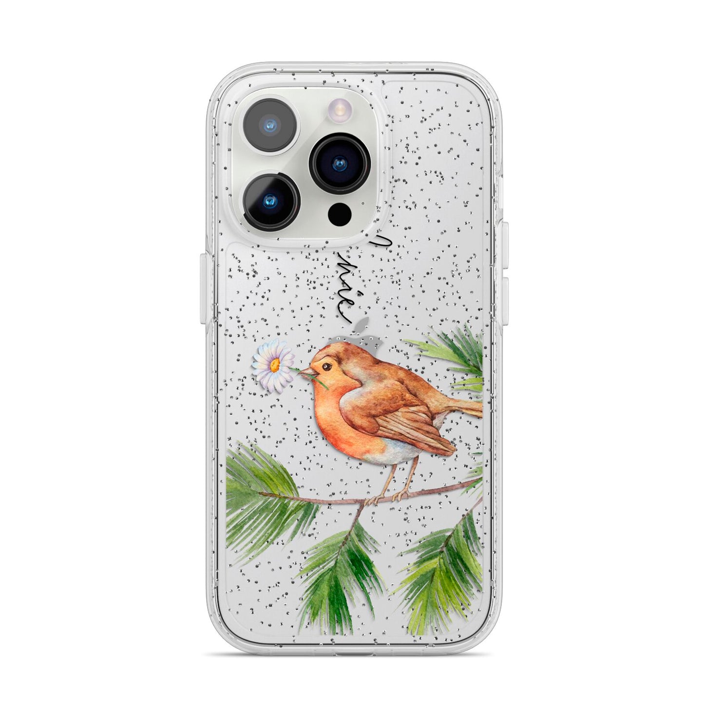 Personalised Robin iPhone 14 Pro Glitter Tough Case Silver