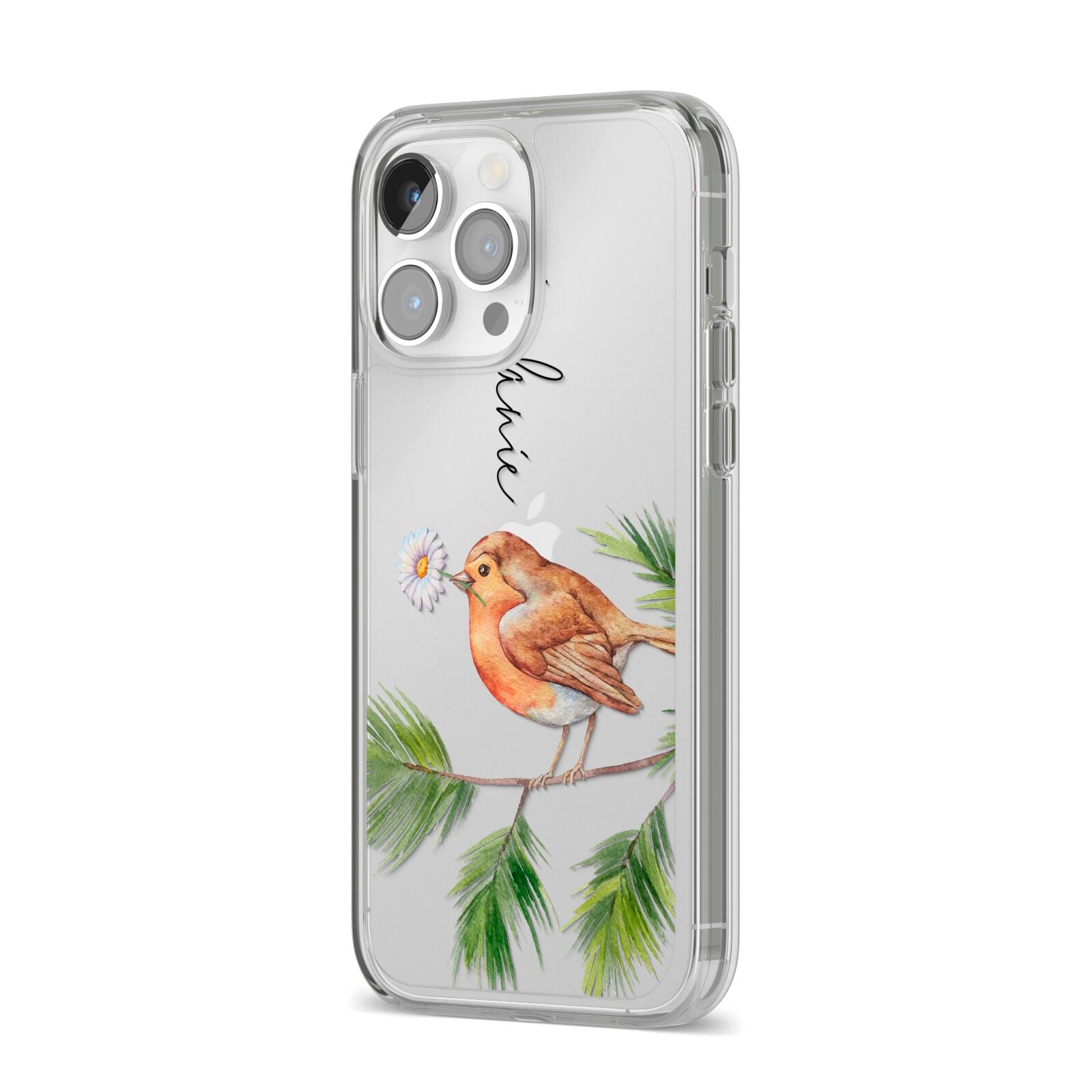 Personalised Robin iPhone 14 Pro Max Clear Tough Case Silver Angled Image