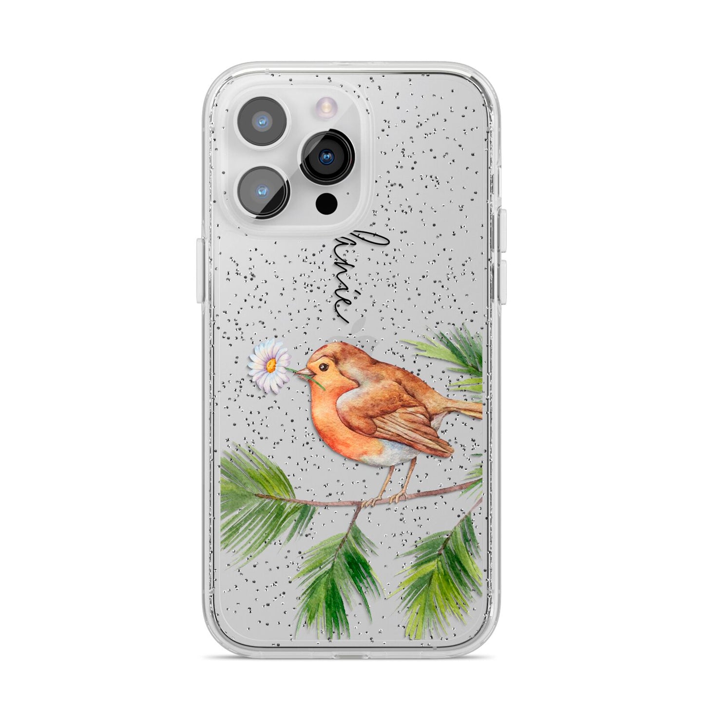 Personalised Robin iPhone 14 Pro Max Glitter Tough Case Silver