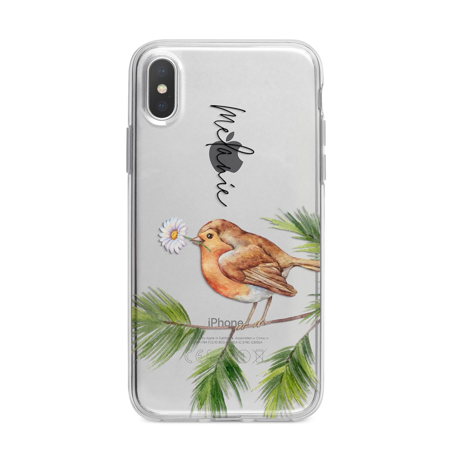 Personalised Robin iPhone X Bumper Case on Silver iPhone Alternative Image 1