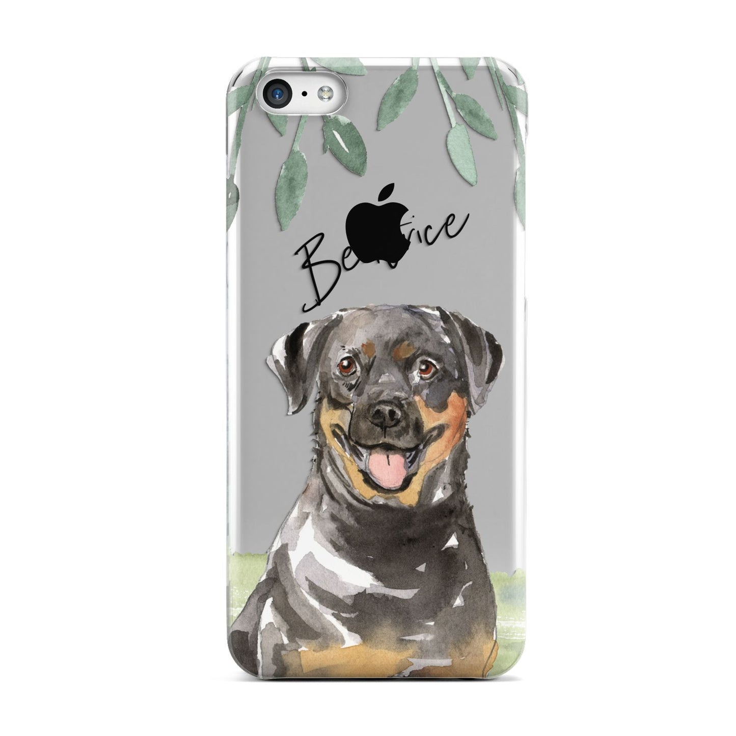 Personalised Rottweiler Apple iPhone 5c Case