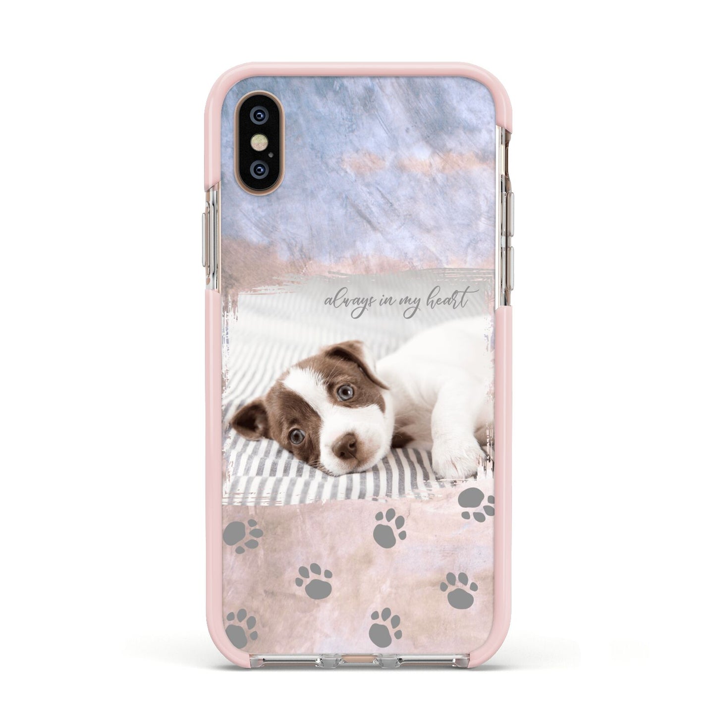 Pet Photo Personalised Apple iPhone Xs Impact Case Pink Edge on Gold Phone