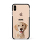Pet Portrait Apple iPhone Xs Max Impact Case Black Edge on Gold Phone