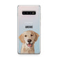 Pet Portrait Samsung Galaxy S10 Plus Case