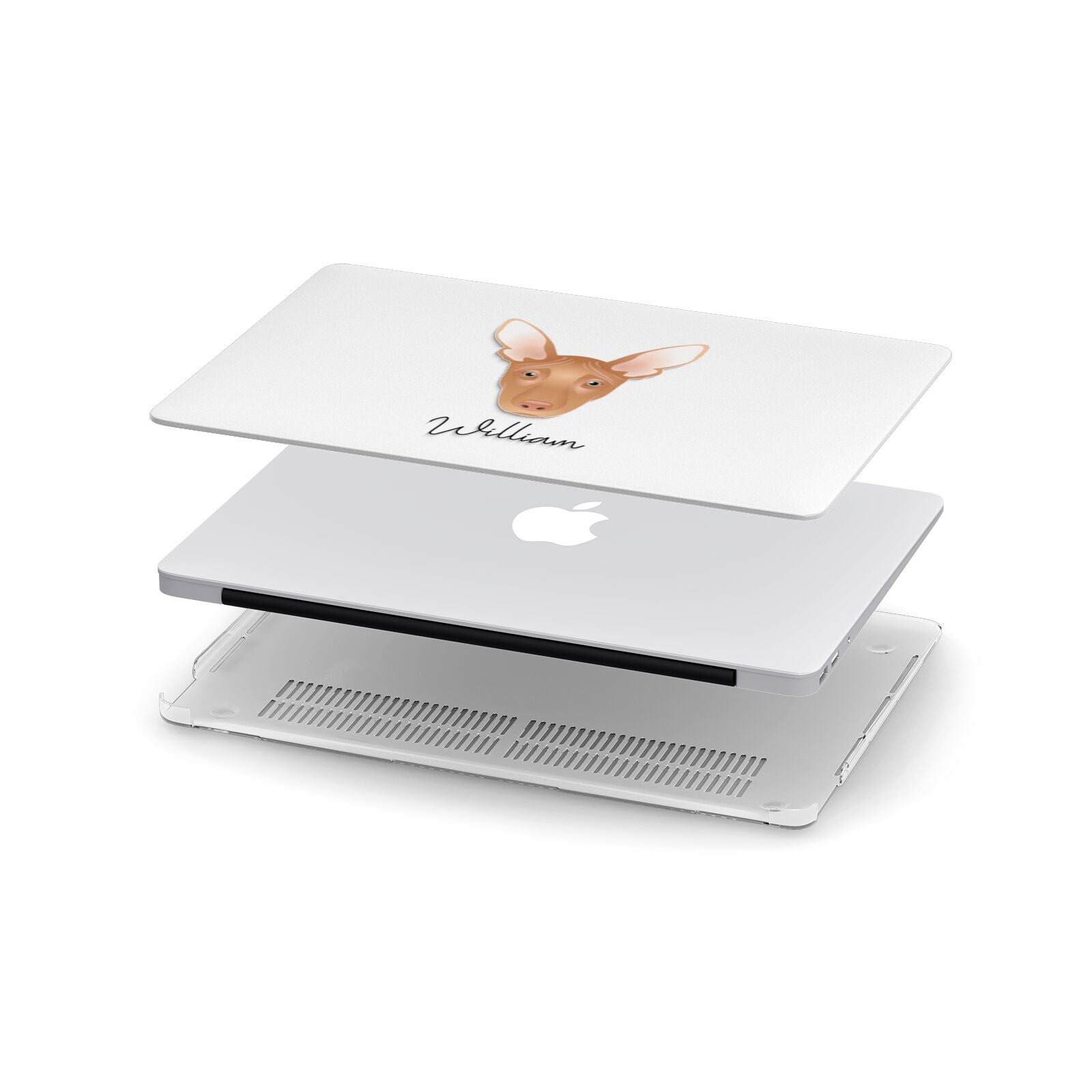 Pharaoh Hound Personalised Apple MacBook Case in Detail