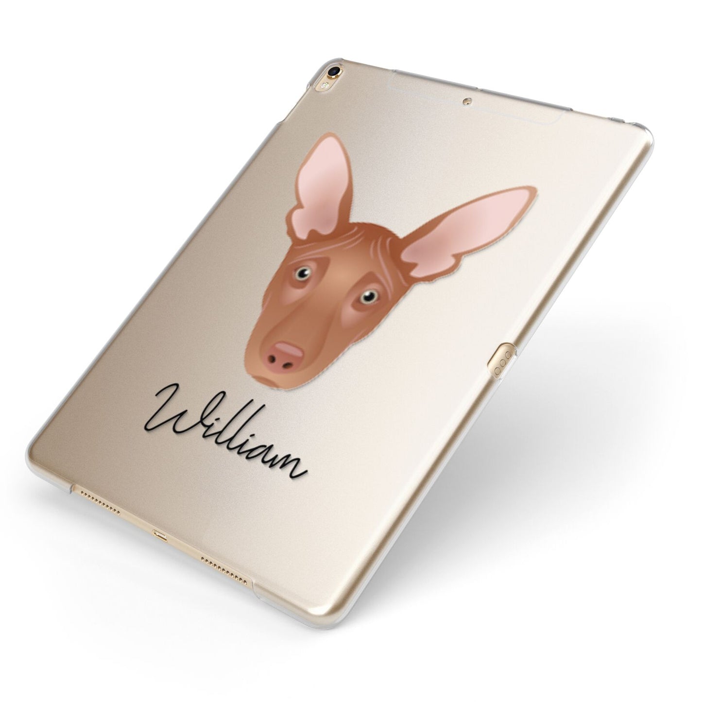 Pharaoh Hound Personalised Apple iPad Case on Gold iPad Side View