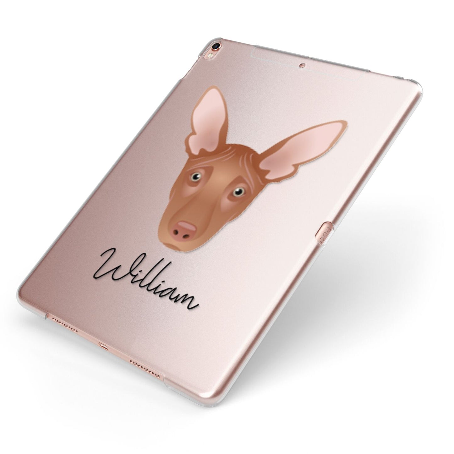 Pharaoh Hound Personalised Apple iPad Case on Rose Gold iPad Side View