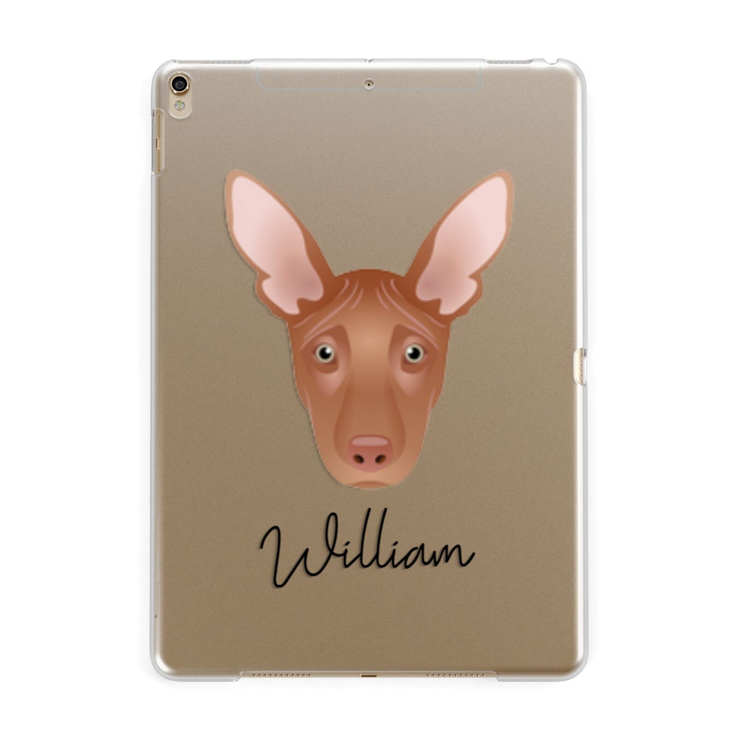 Pharaoh Hound Personalised Apple iPad Gold Case