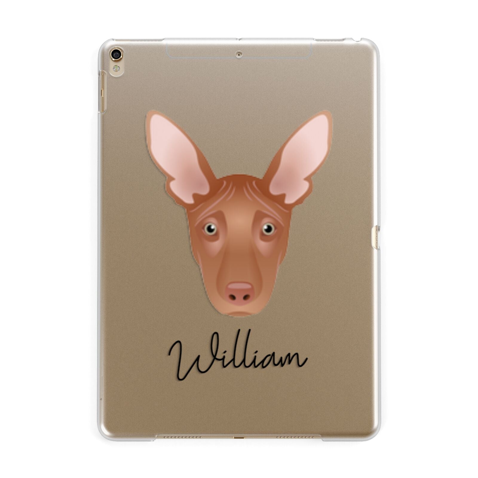 Pharaoh Hound Personalised Apple iPad Gold Case