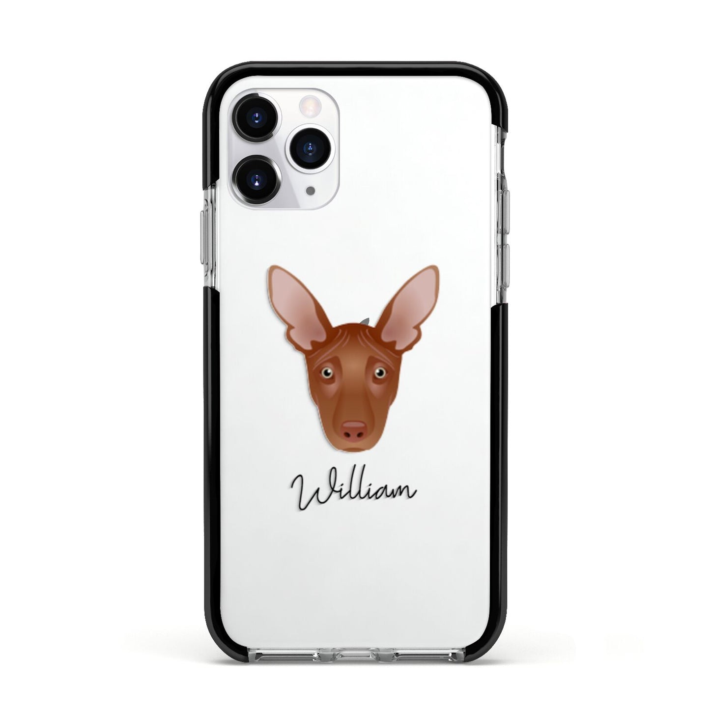 Pharaoh Hound Personalised Apple iPhone 11 Pro in Silver with Black Impact Case