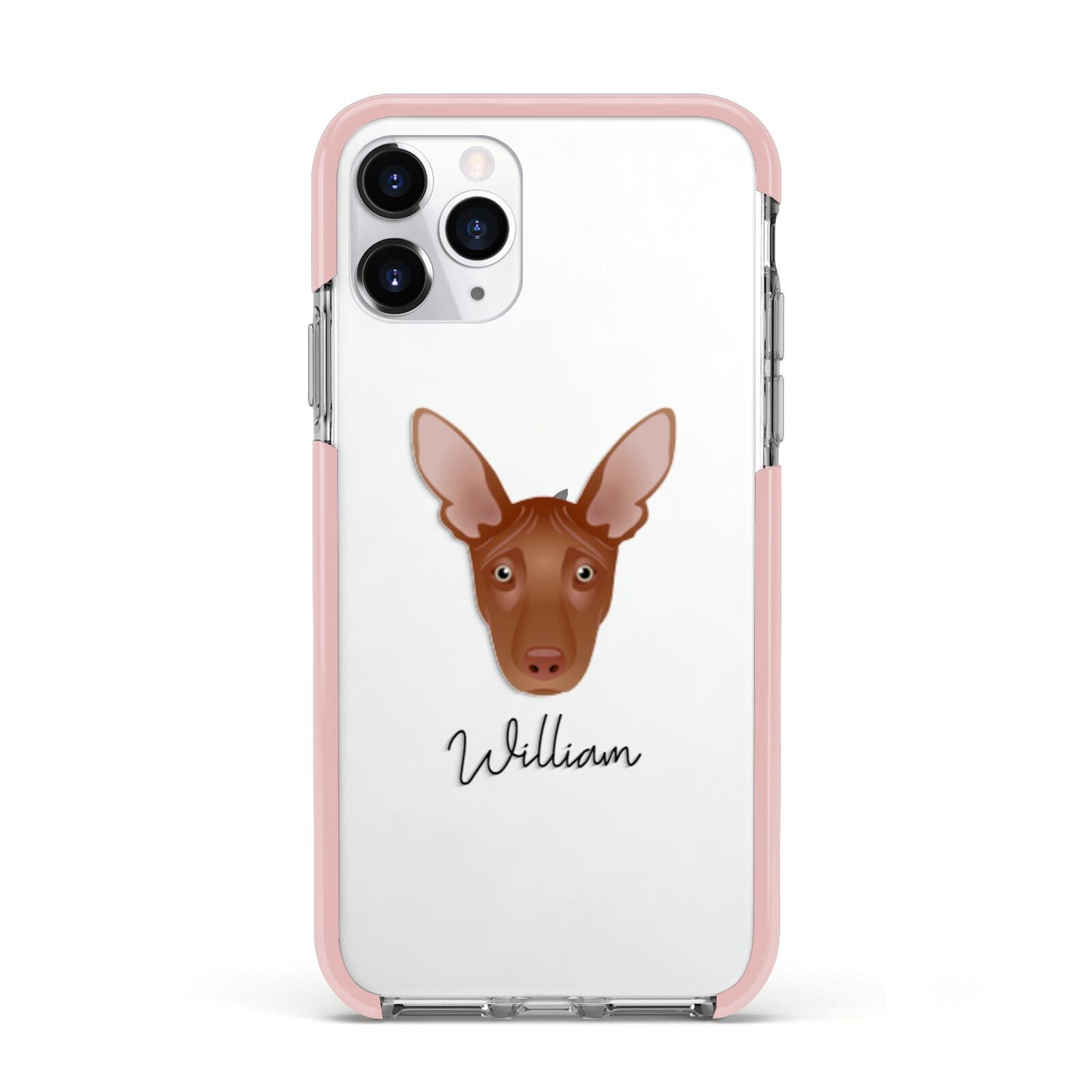 Pharaoh Hound Personalised Apple iPhone 11 Pro in Silver with Pink Impact Case