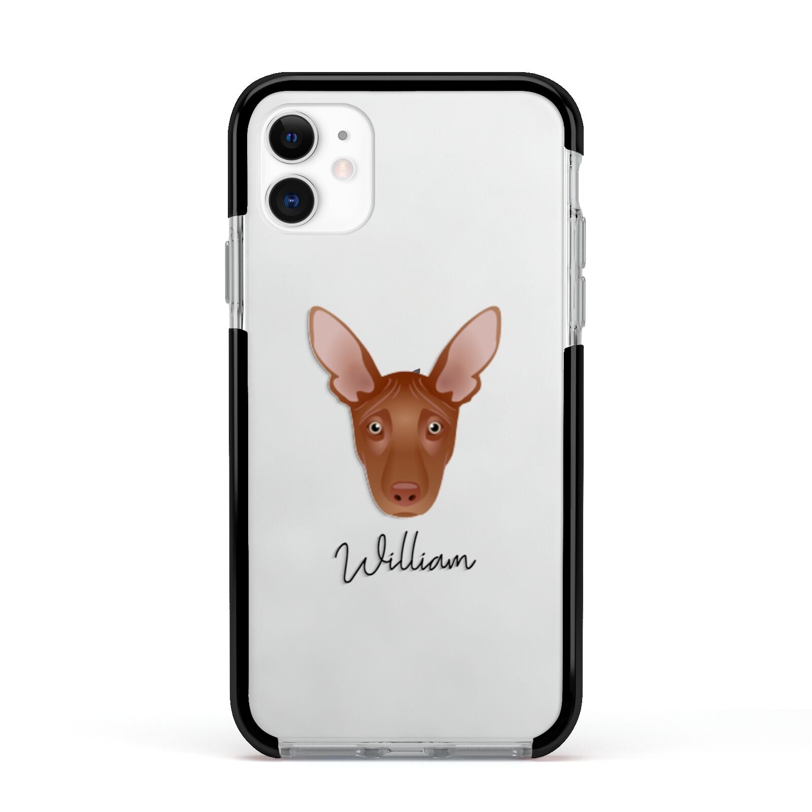 Pharaoh Hound Personalised Apple iPhone 11 in White with Black Impact Case