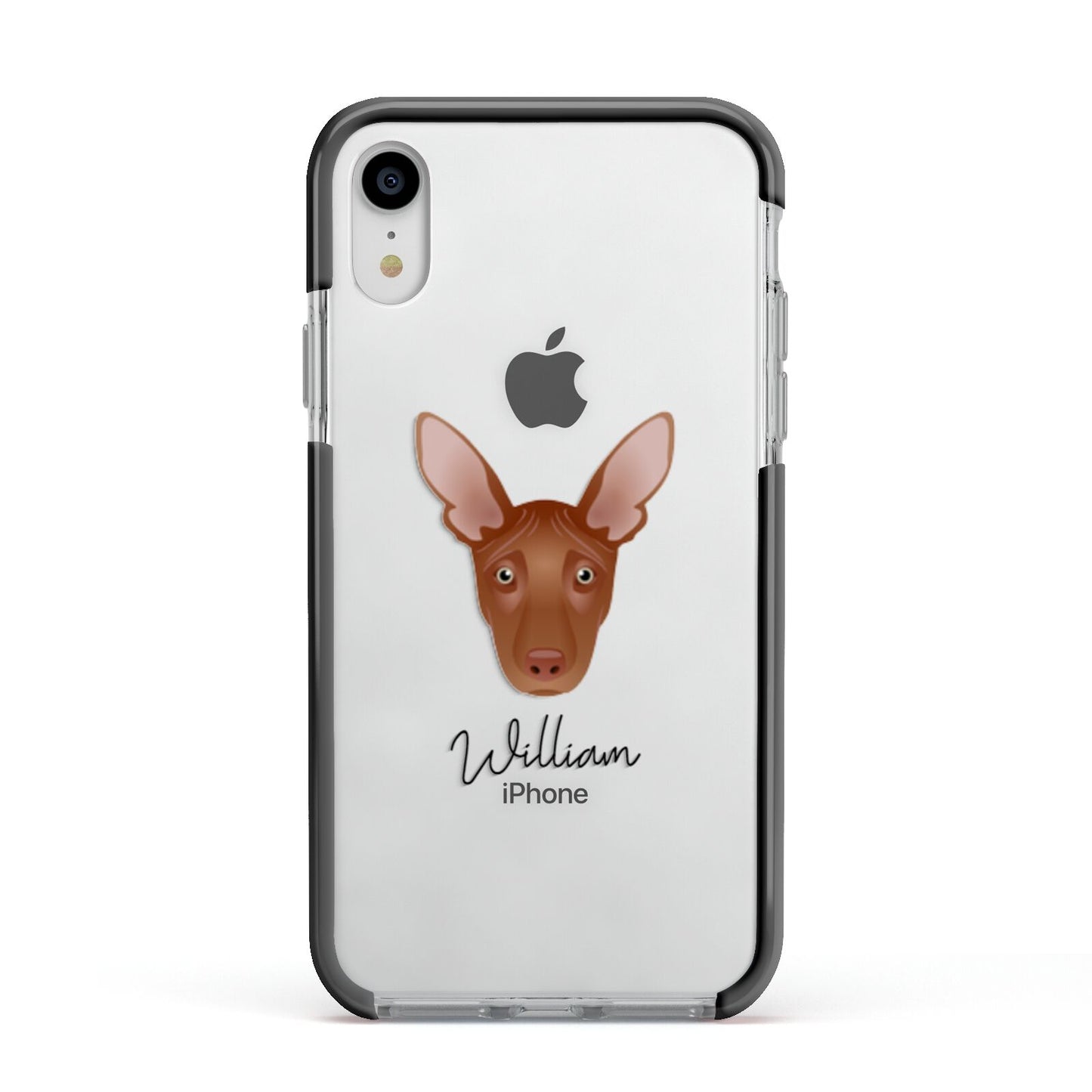 Pharaoh Hound Personalised Apple iPhone XR Impact Case Black Edge on Silver Phone