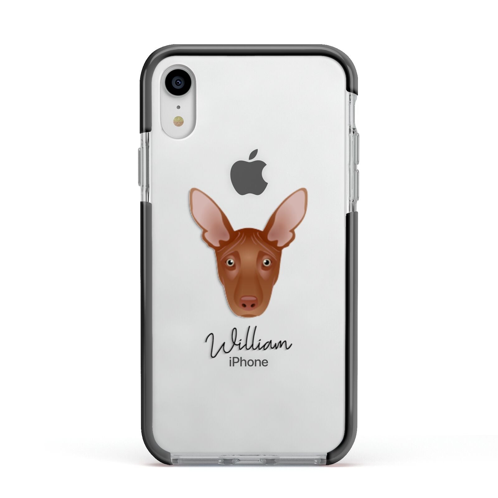 Pharaoh Hound Personalised Apple iPhone XR Impact Case Black Edge on Silver Phone