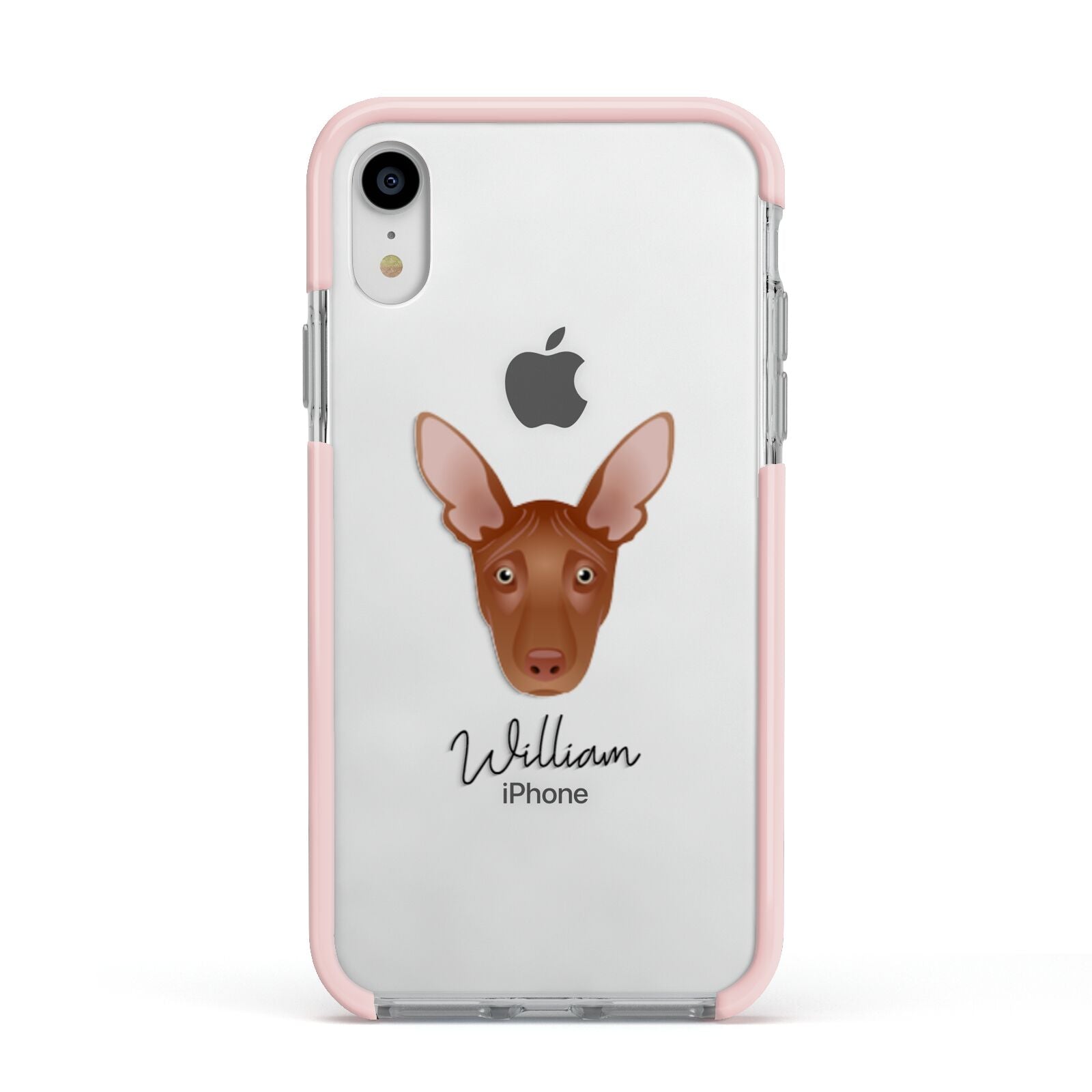 Pharaoh Hound Personalised Apple iPhone XR Impact Case Pink Edge on Silver Phone