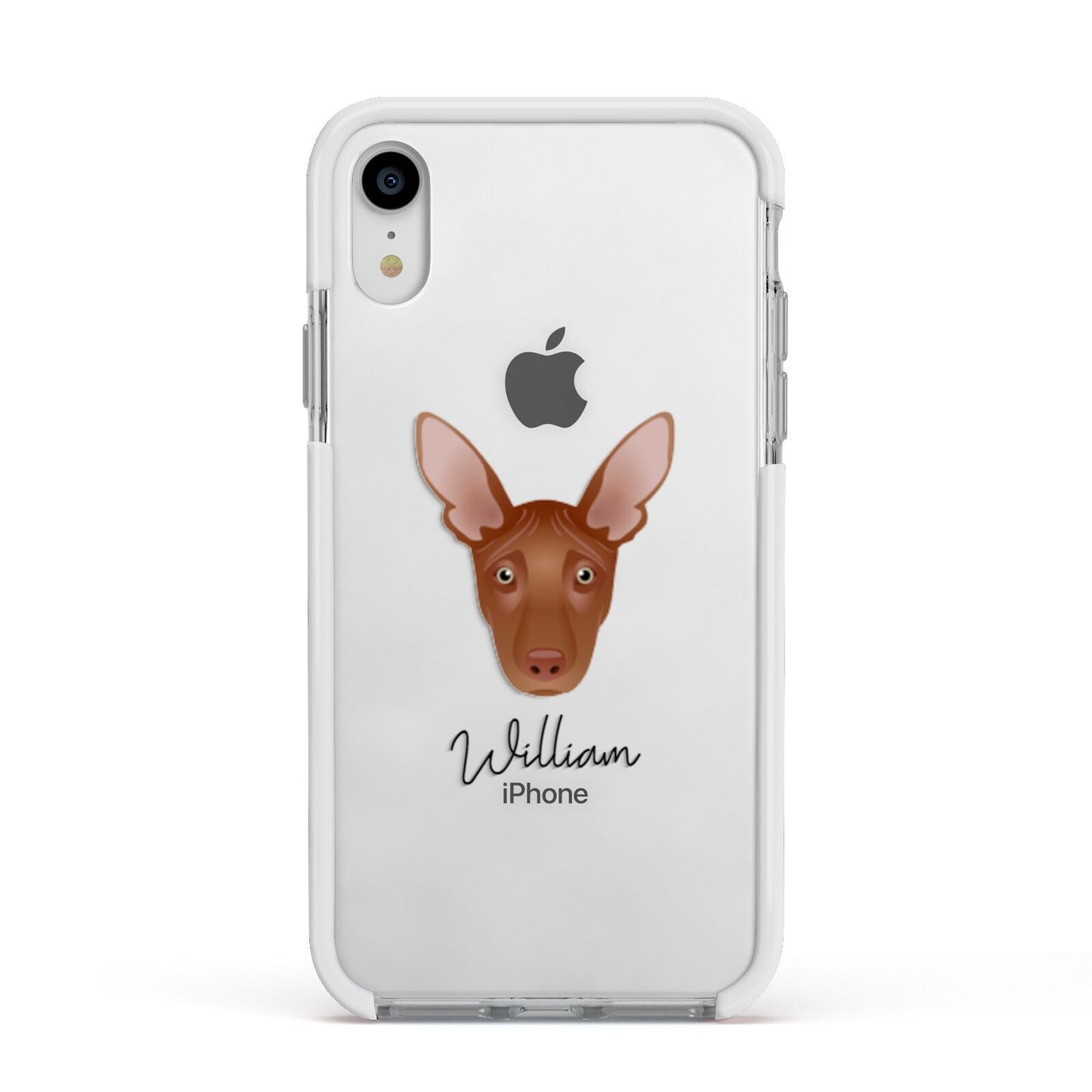 Pharaoh Hound Personalised Apple iPhone XR Impact Case White Edge on Silver Phone