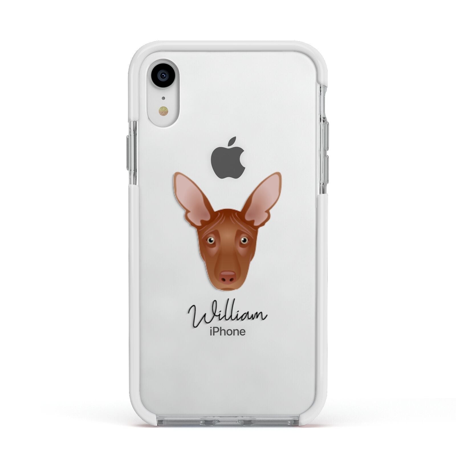 Pharaoh Hound Personalised Apple iPhone XR Impact Case White Edge on Silver Phone