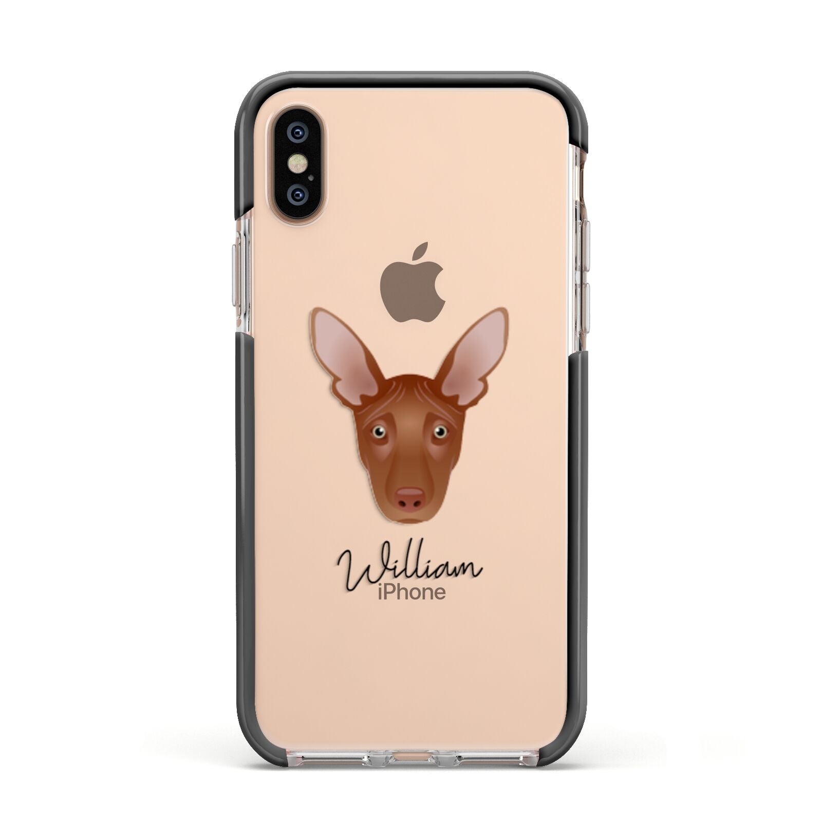 Pharaoh Hound Personalised Apple iPhone Xs Impact Case Black Edge on Gold Phone