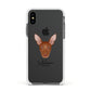 Pharaoh Hound Personalised Apple iPhone Xs Impact Case White Edge on Black Phone