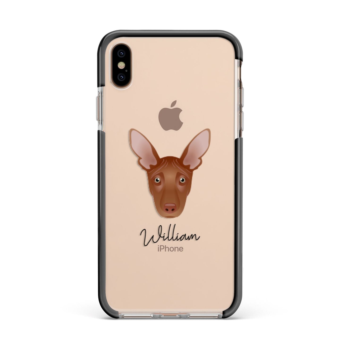 Pharaoh Hound Personalised Apple iPhone Xs Max Impact Case Black Edge on Gold Phone