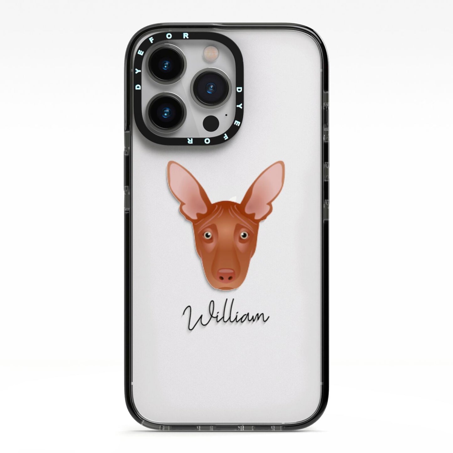 Pharaoh Hound Personalised iPhone 13 Pro Black Impact Case on Silver phone
