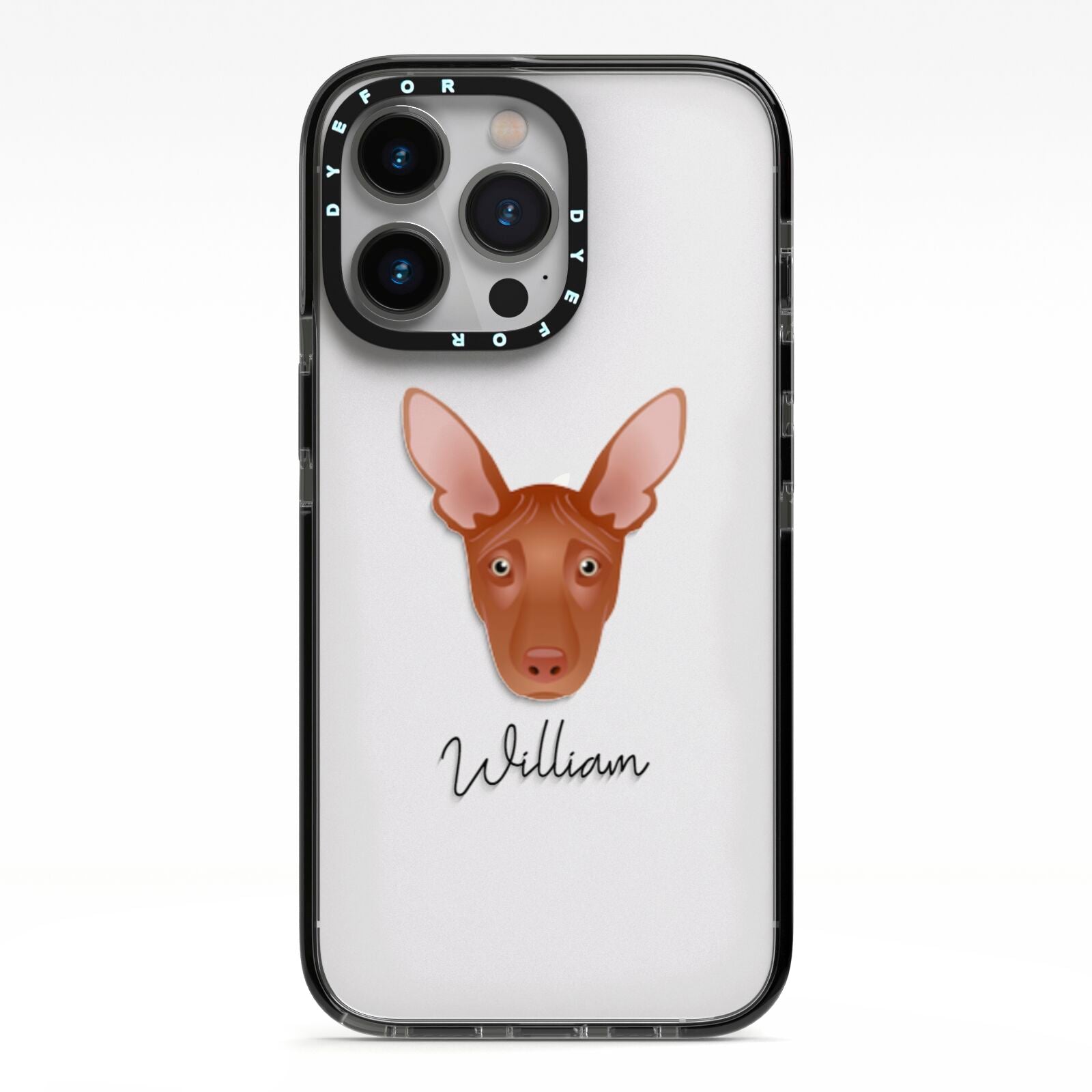 Pharaoh Hound Personalised iPhone 13 Pro Black Impact Case on Silver phone