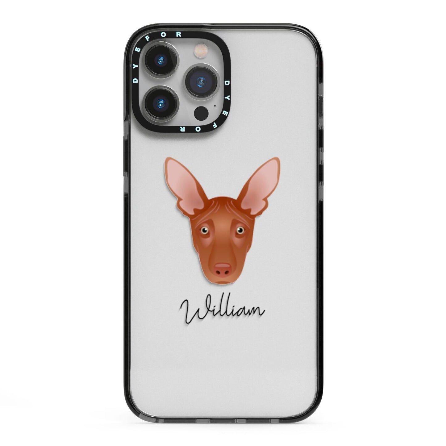 Pharaoh Hound Personalised iPhone 13 Pro Max Black Impact Case on Silver phone