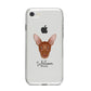 Pharaoh Hound Personalised iPhone 8 Bumper Case on Silver iPhone
