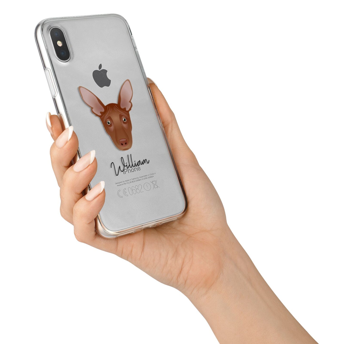 Pharaoh Hound Personalised iPhone X Bumper Case on Silver iPhone Alternative Image 2