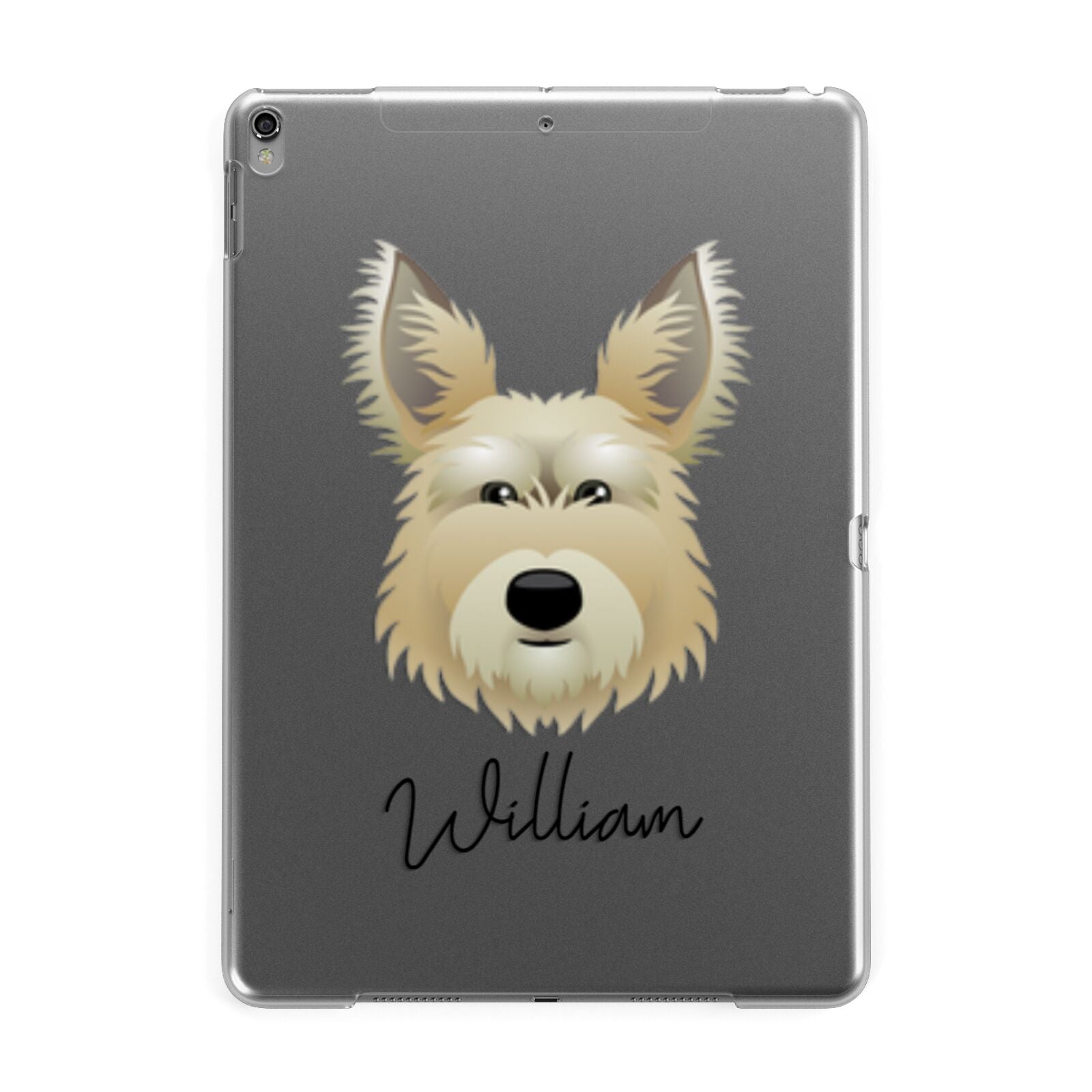 Picardy Sheepdog Personalised Apple iPad Grey Case