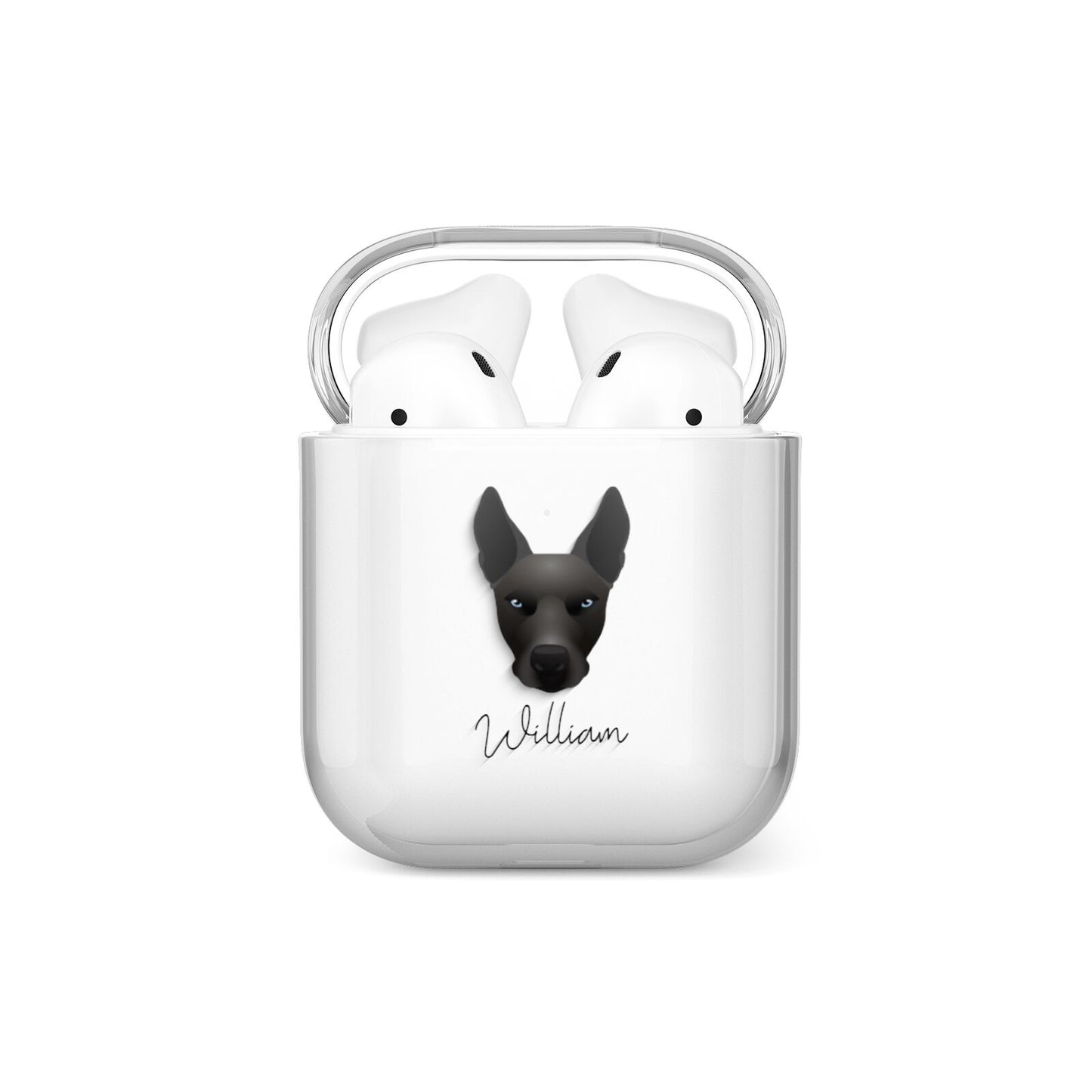 Pitsky Personalised AirPods Case
