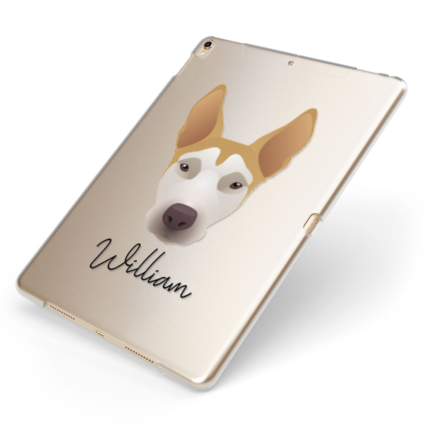 Pitsky Personalised Apple iPad Case on Gold iPad Side View