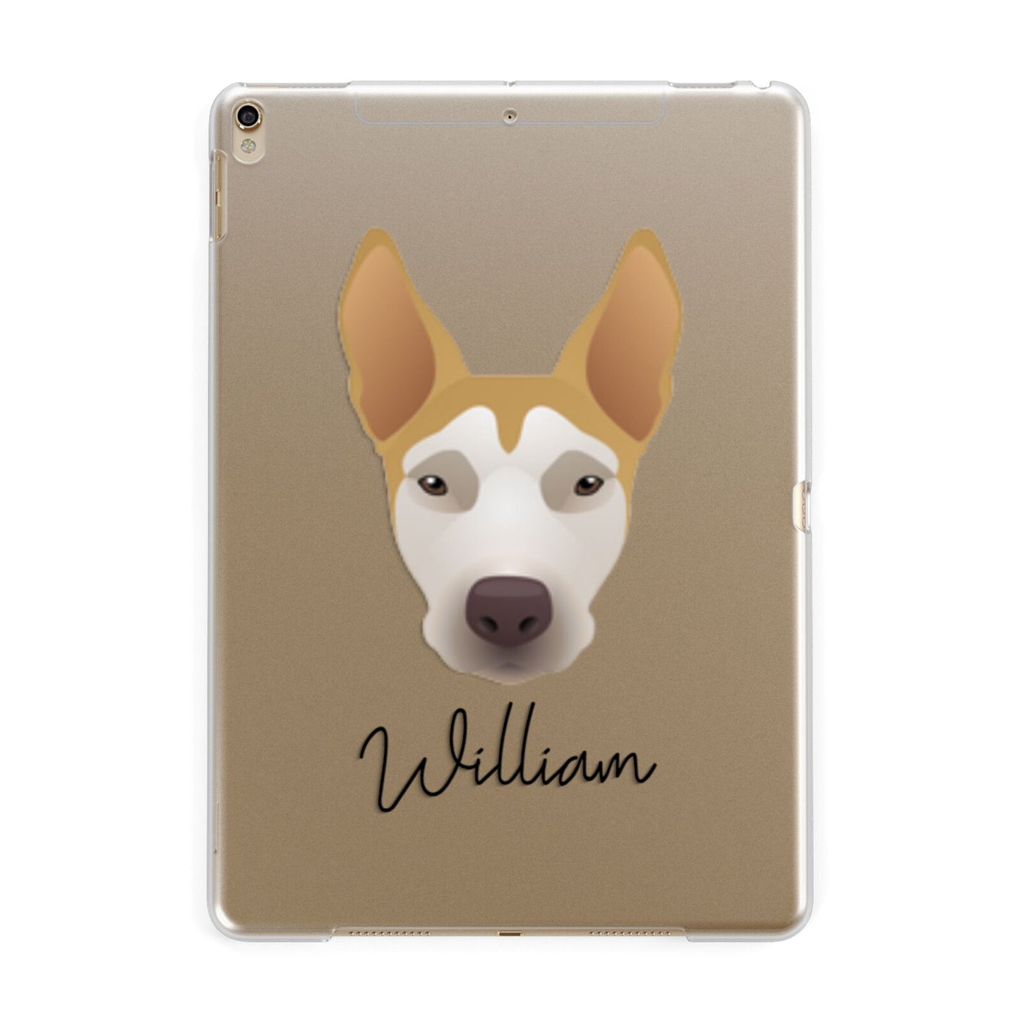 Pitsky Personalised Apple iPad Gold Case