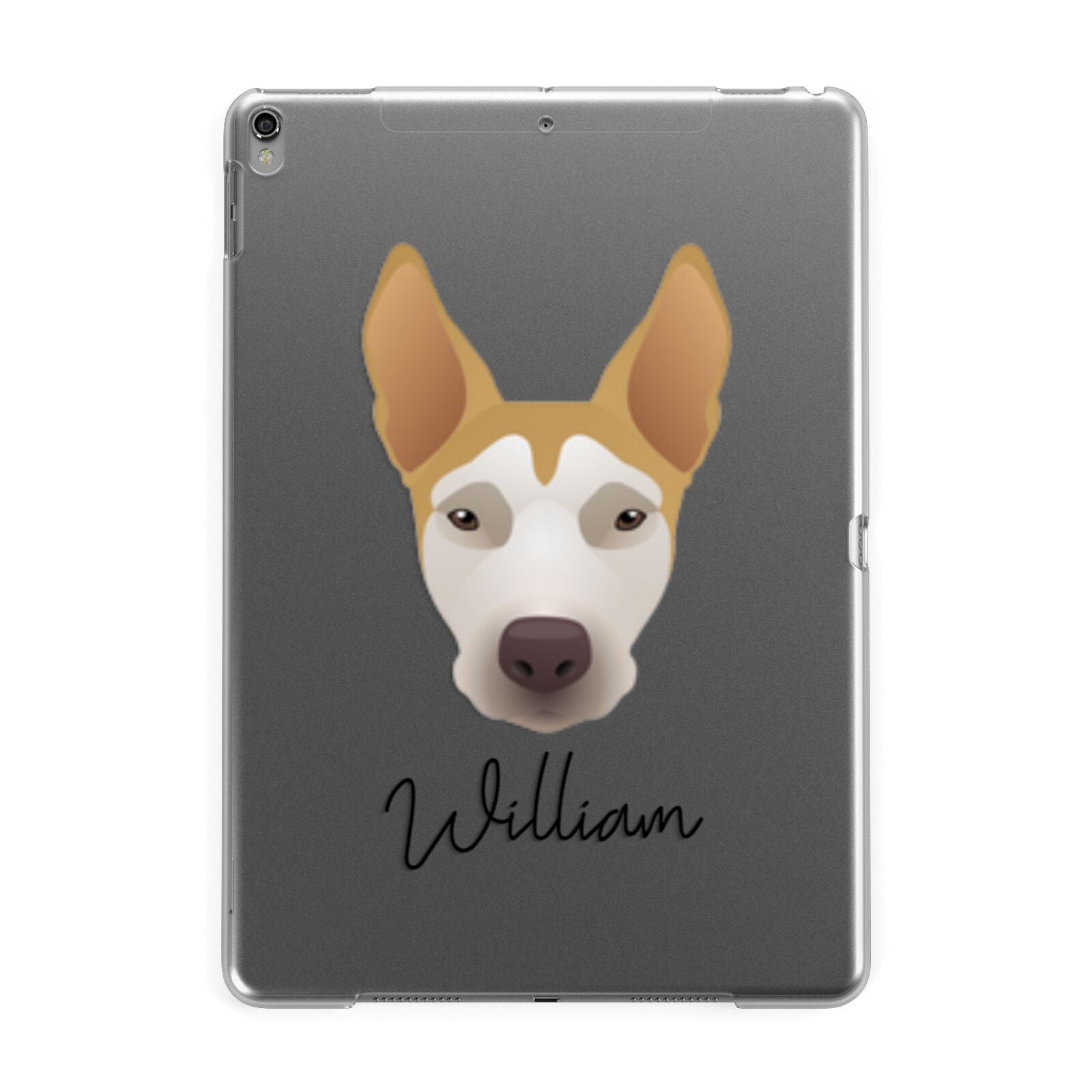 Pitsky Personalised Apple iPad Grey Case