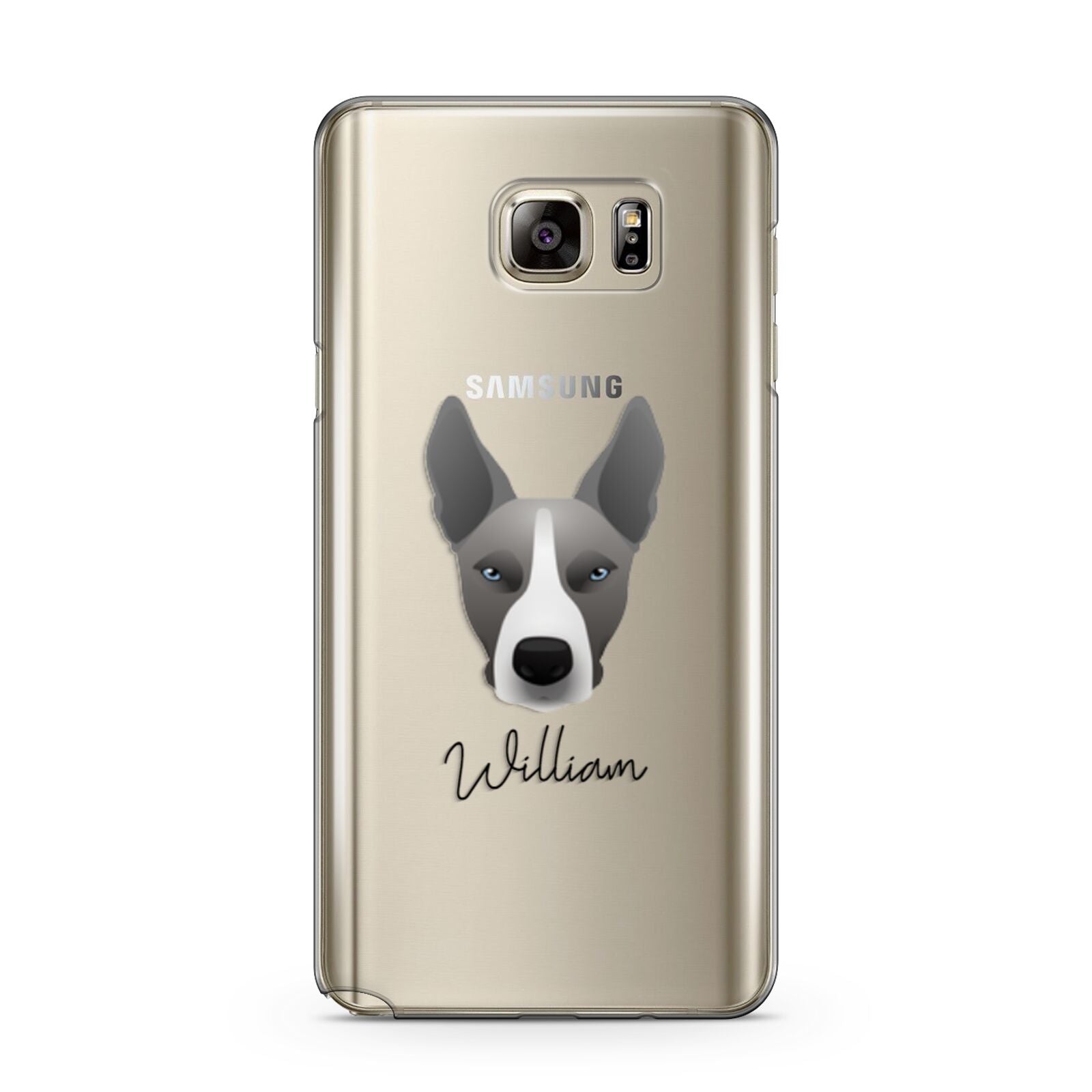 Pitsky Personalised Samsung Galaxy Note 5 Case