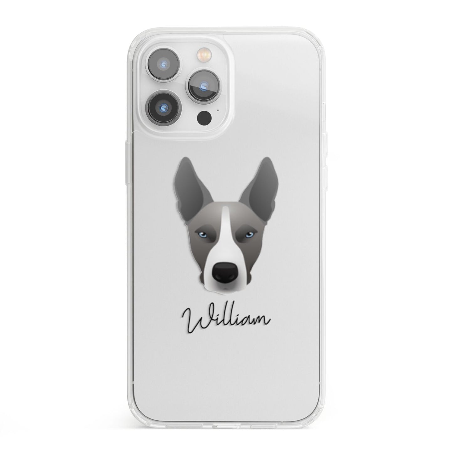 Pitsky Personalised iPhone 13 Pro Max Clear Bumper Case