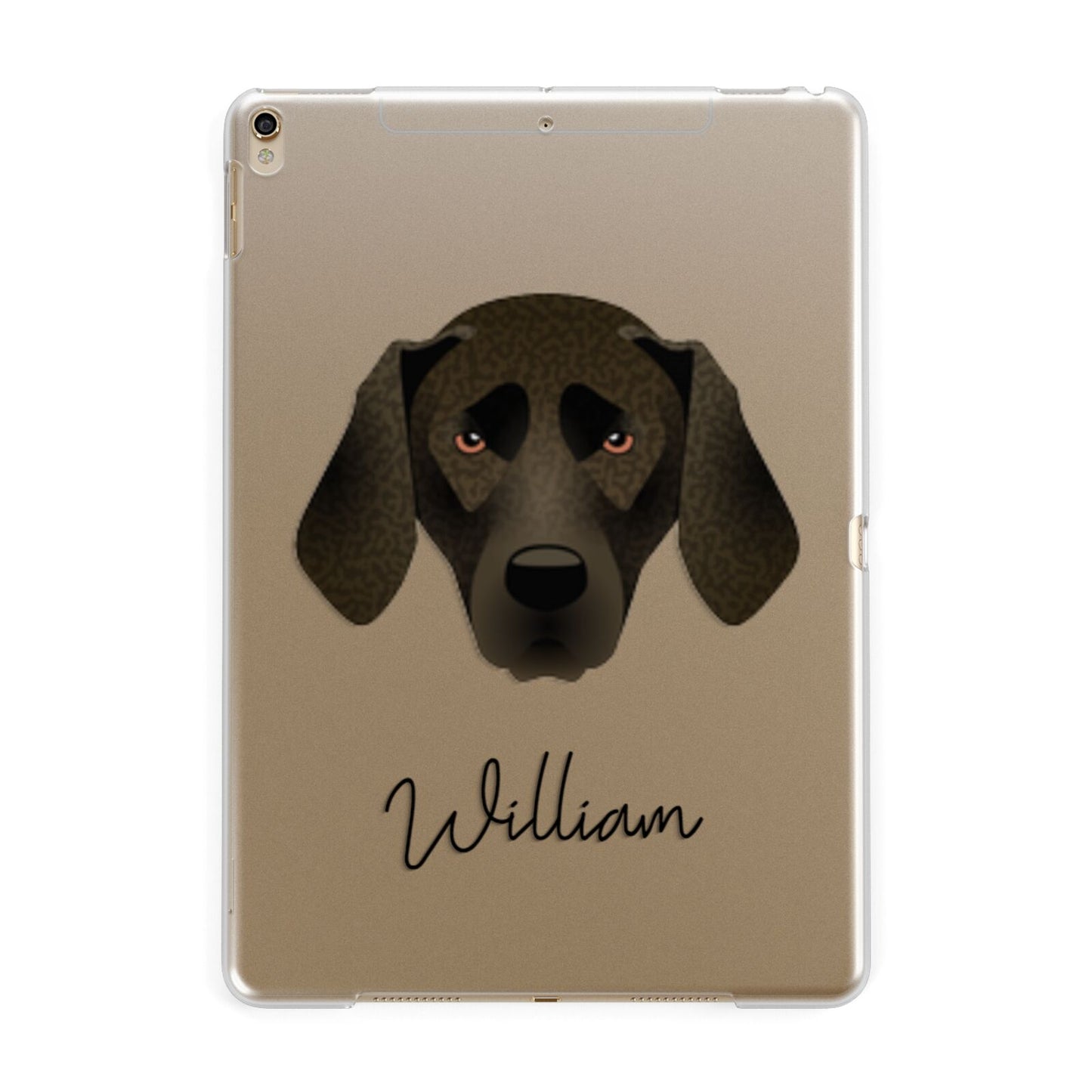 Plott Hound Personalised Apple iPad Gold Case