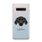 Plott Hound Personalised Samsung Galaxy S10 Plus Case