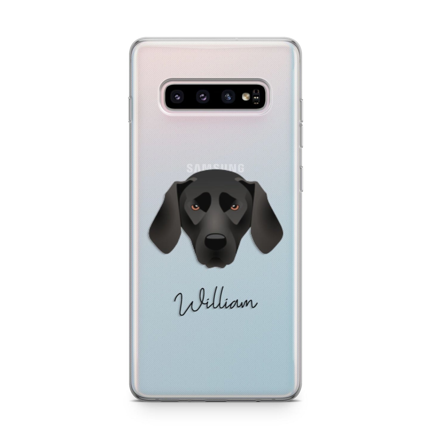 Plott Hound Personalised Samsung Galaxy S10 Plus Case