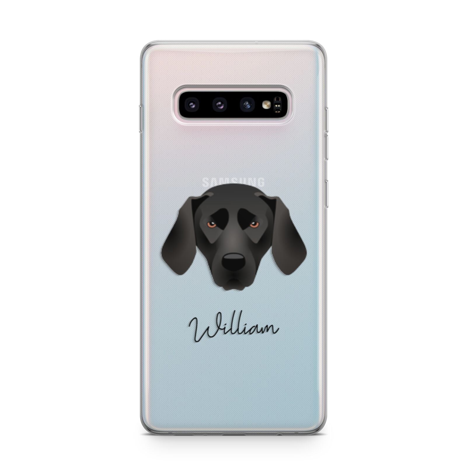 Plott Hound Personalised Samsung Galaxy S10 Plus Case