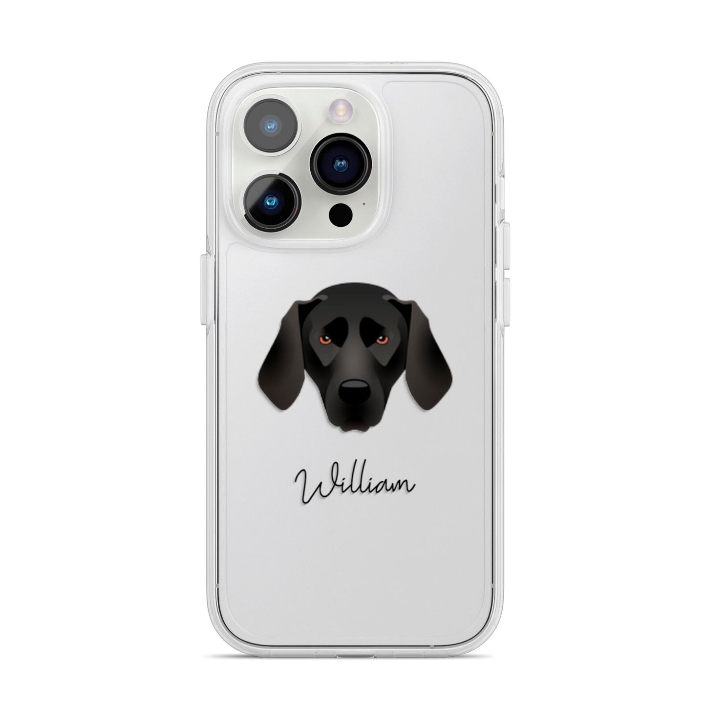 Plott Hound Personalised iPhone 14 Pro Clear Tough Case Silver