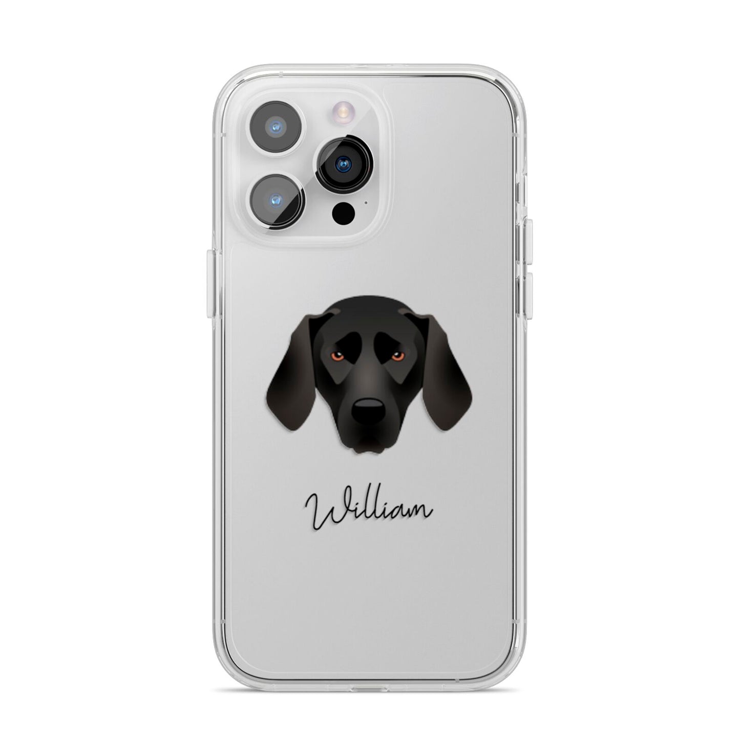 Plott Hound Personalised iPhone 14 Pro Max Clear Tough Case Silver