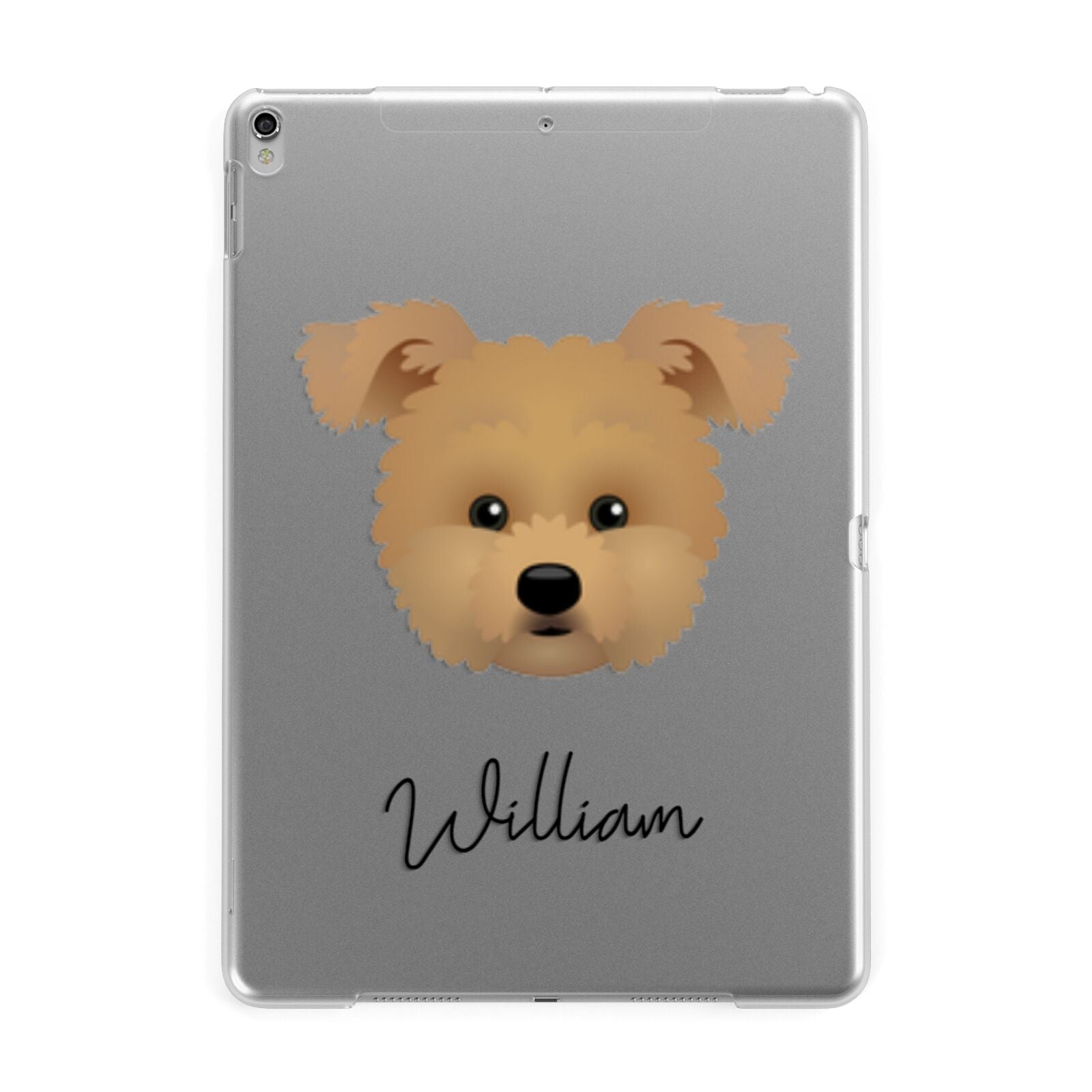 Pomapoo Personalised Apple iPad Silver Case