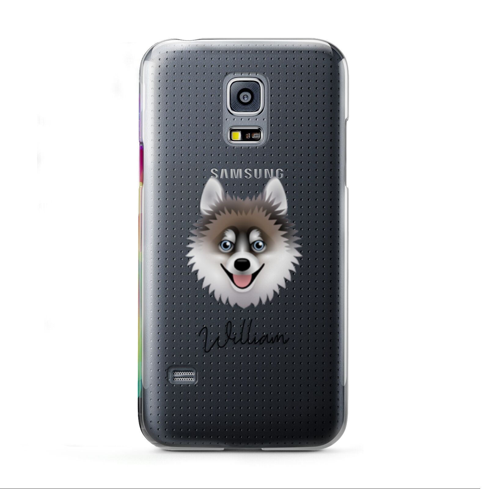 Pomsky Personalised Samsung Galaxy S5 Mini Case