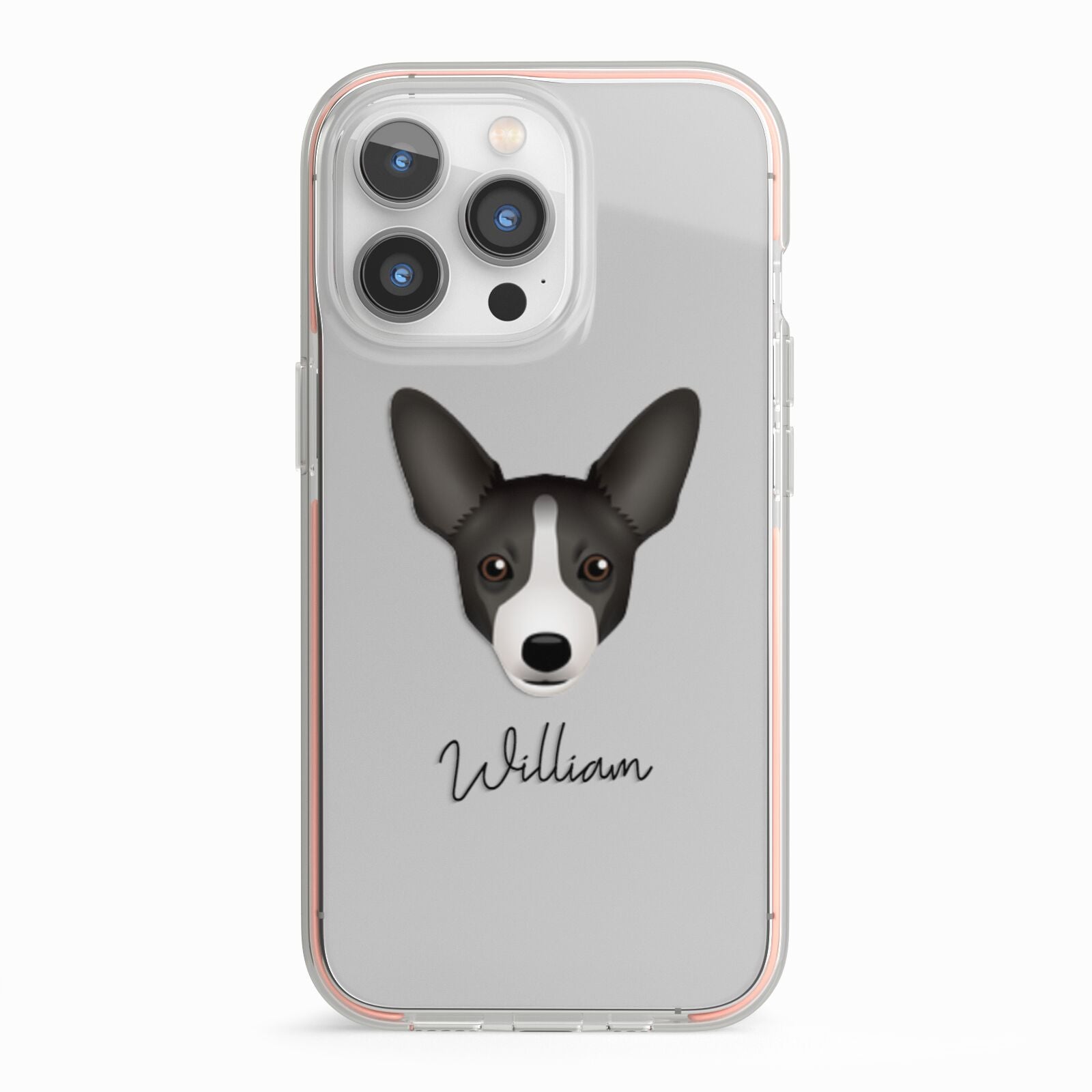 Portuguese Podengo Personalised iPhone 13 Pro TPU Impact Case with Pink Edges