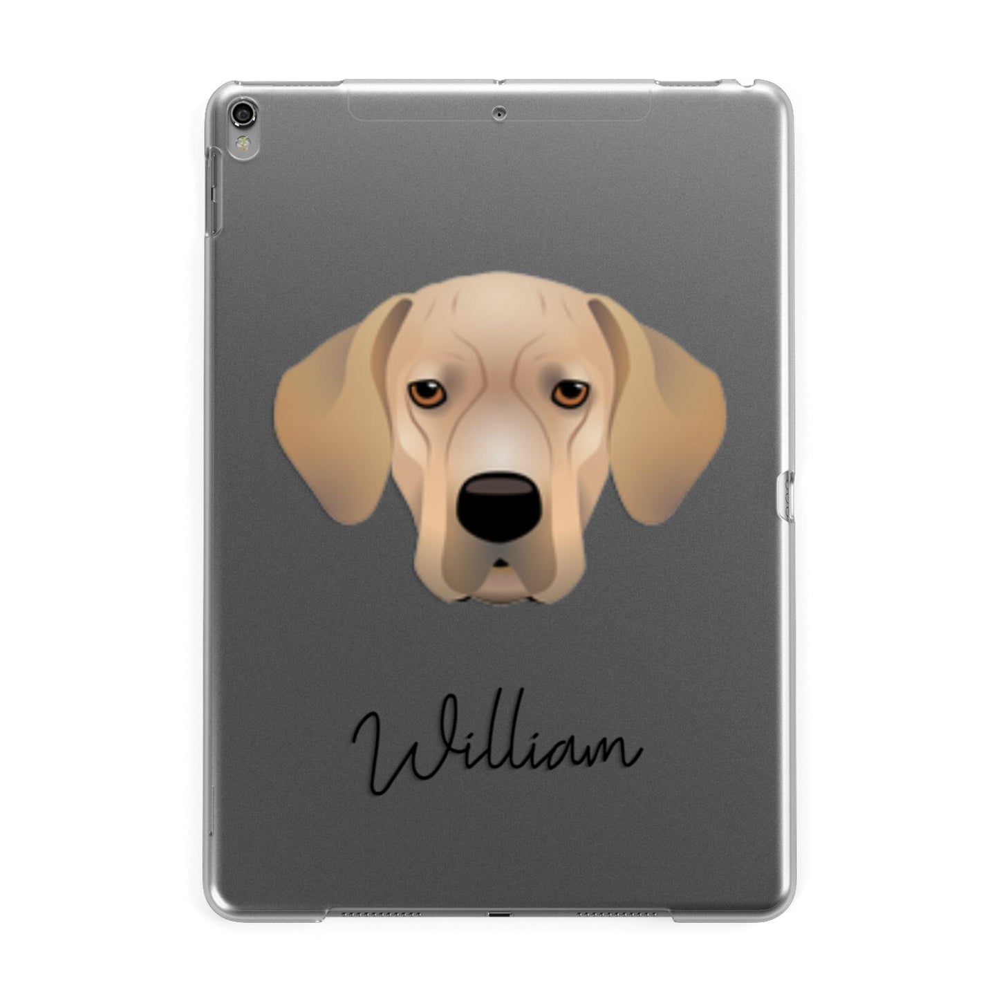 Portuguese Pointer Personalised Apple iPad Grey Case
