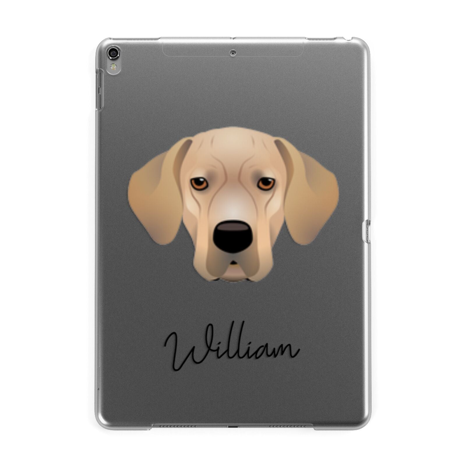 Portuguese Pointer Personalised Apple iPad Grey Case