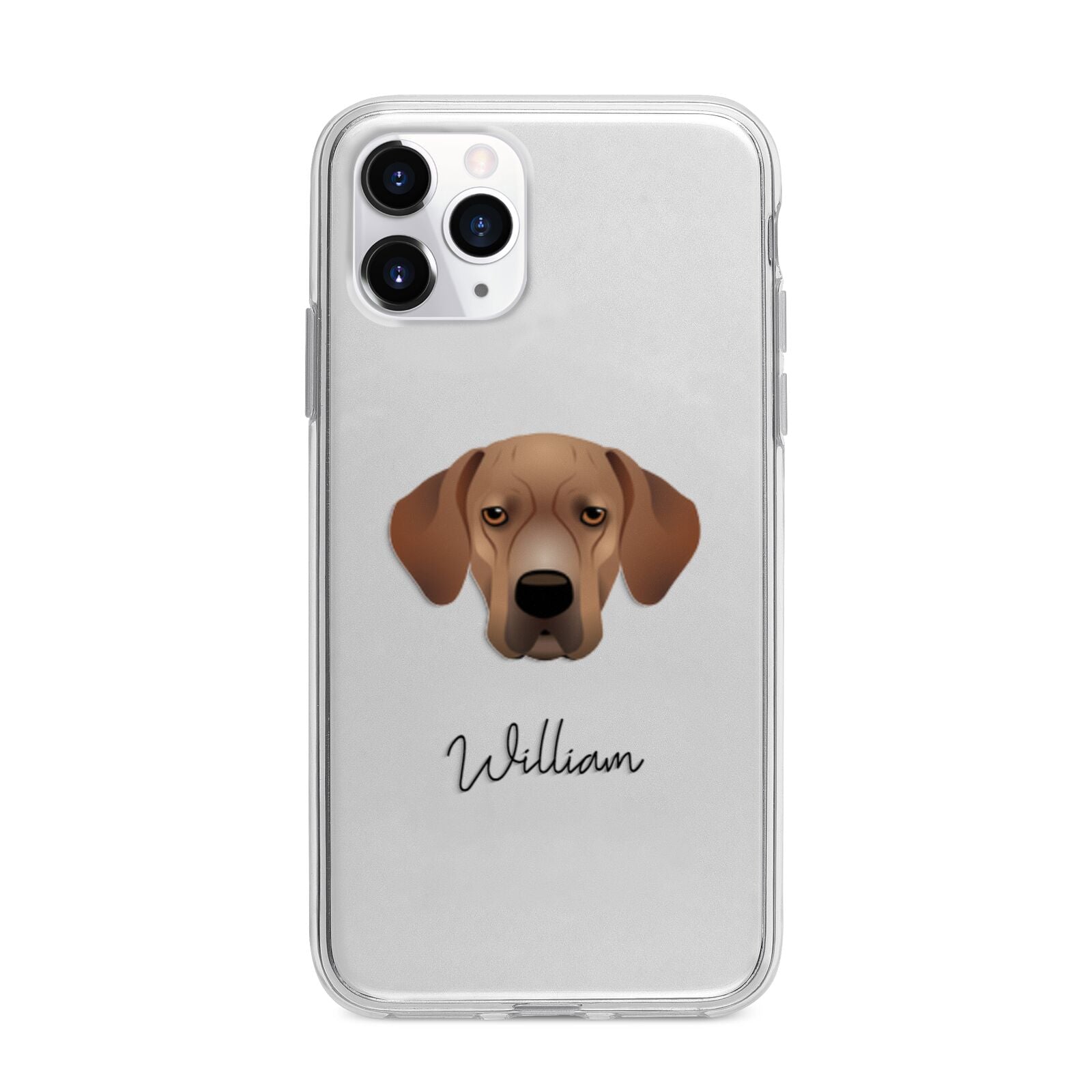 Portuguese Pointer Personalised Apple iPhone 11 Pro in Silver with Bumper Case