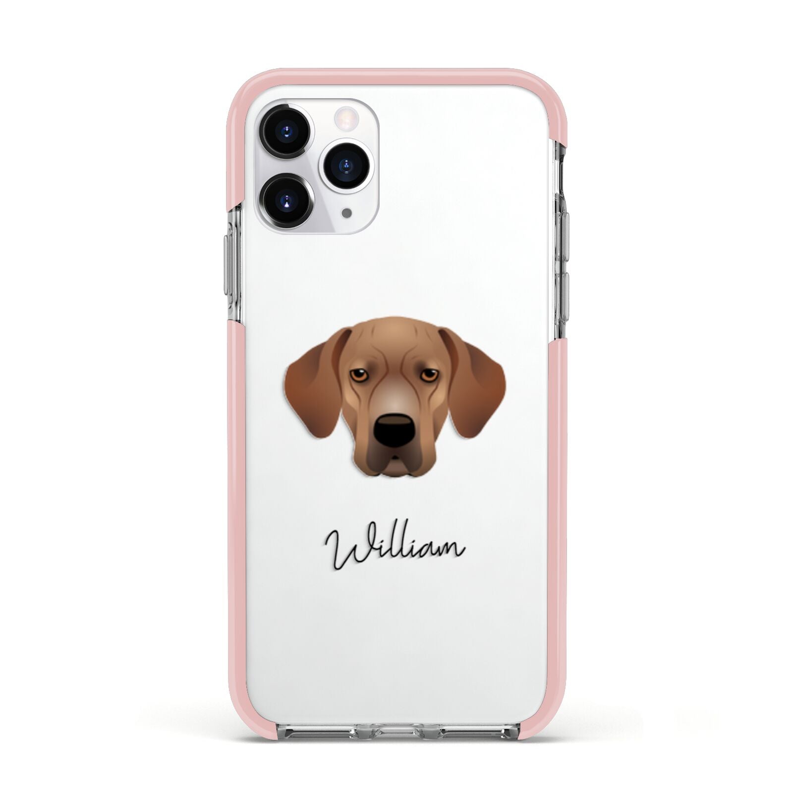 Portuguese Pointer Personalised Apple iPhone 11 Pro in Silver with Pink Impact Case
