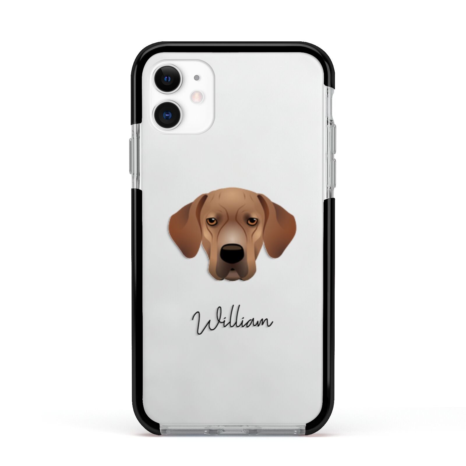 Portuguese Pointer Personalised Apple iPhone 11 in White with Black Impact Case
